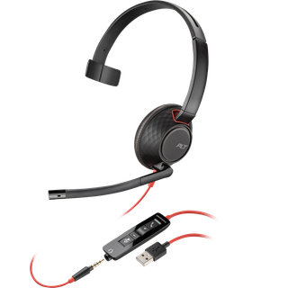 BW 5210 Mono USB-A HS