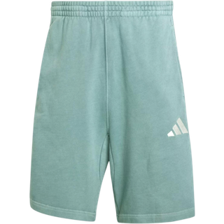 ALL SZN French Terry Washed 8 Inch shorts - Aurora Ivy - XL