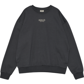 HALO GRAPHIC BOXY CREW