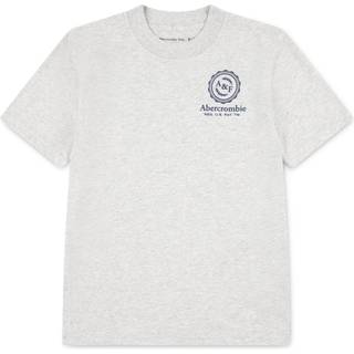 Abercrombie & Fitch Abercrombie & Fitch Grey Long Sleeve Logo T-Shirt With Back Graphic
