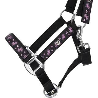 QHP Lize grime - Pony