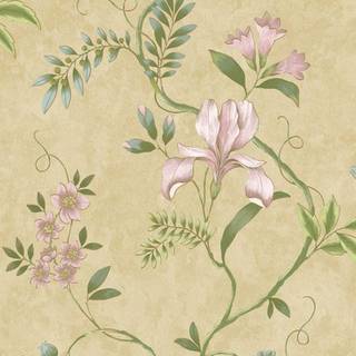 Albany Wallpaper Dancing Iris 100104