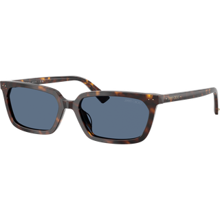 Jimmy Choo Kvinde JC5050U 500280 Solbriller Acetat Skildpadde Blå Firkantet Normal