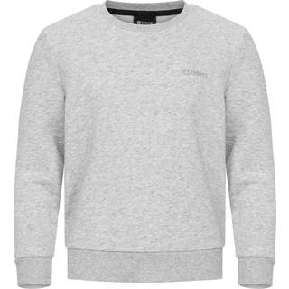 Urberg Juniors' Sweatshirt Terry Grey Melange, 158/164 (13-14 år)