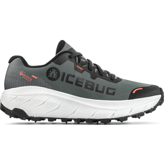 Icebug Women's Arcus 2 BUGrip GORE-TEX Grey, 41