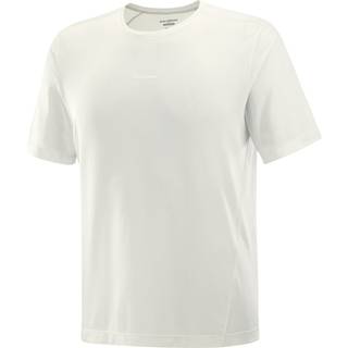Salomon Men's Shkout Core Short Sleeve Tee Icicle, Icicle/, XL