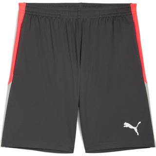 PUMA individualLIGA Training Shorts Men, Sport, Shadow Gray/White/Glowing Red, S