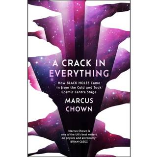 A Crack in Everything