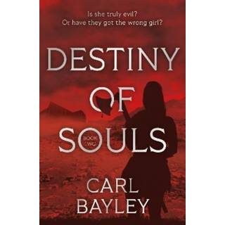 Destiny of Souls