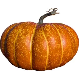 Oranger Gesprenkelter Deko Kürbis 26x17cm