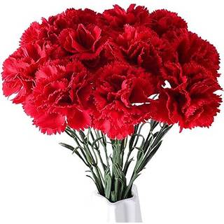 Silke nellik blomster kunstige blomster 10stk silkeblomst med 55 cm lang stamme falske blomster blomsterarrangementer bryllupsdekoration bord mid