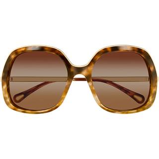 Chloé Kvinde CH0327S 002 Solbriller Acetat Havana Brun Firkantet