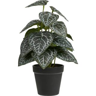 Kunstig Plante - Plante, Grøn H:33 Cm