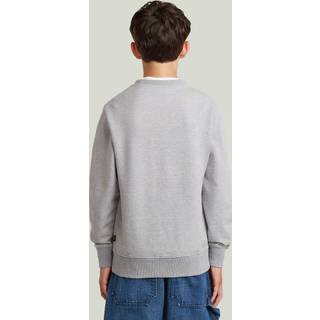 Boys ALD Crew Sweater - Grey - boys