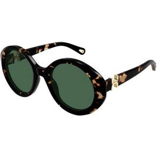 Chloé Kvinde CH0332S 002 Solbriller Acetat Havana Grøn Rund