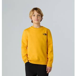 The North Face Teen's Box Nse Regular Crew Sweatere Børn størrelse S farve orange