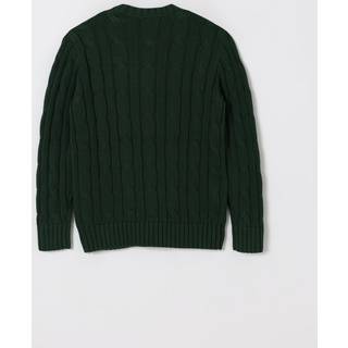 Polo Ralph Lauren Polo Ralph Lauren Drenge Kabelstrik Trøje