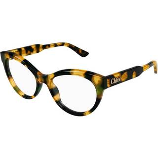 Chloé Kvinde CH0342O 002 Optiske stel Acetat Havana Transparent Cat Eye