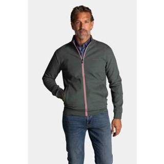 N.Z.A. Herren Pullover grün unifarben