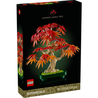 Botanicals Bonsaitræ: Japansk Løn - 10348