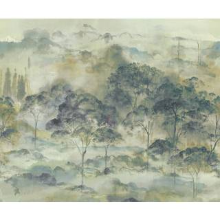 Foret Vallombrosa - 89577607