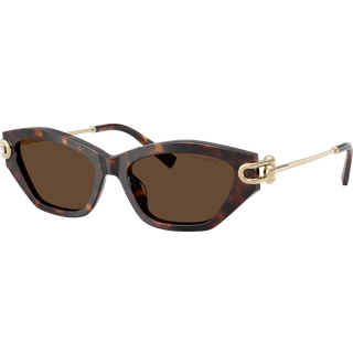 Tiffany Kvinde TF4231U 80153G Solbriller Acetat Skildpadde Brun Cat Eye Normal