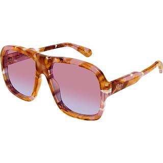 Chloé Kvinde CH0331S 003 Solbriller Acetat Havana Rød Pilot