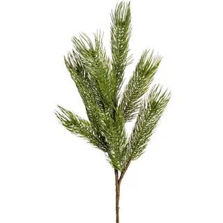 Forest fyrrekvist grøn