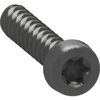 Lk fuga torx skrue sort 10-pak for monteringsramme