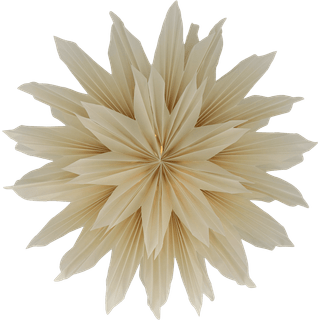 Scandi Living Brisk adventsstjerne Ø50 cm