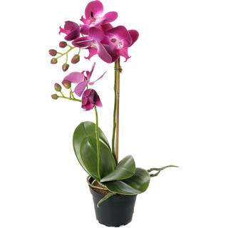Orkidé Lilla Kunstig - 45 cm
