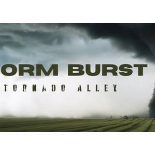 Storm Burst: Tornado Alley (PC) Steam Key - GLOBAL