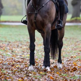 Kingsland, Gamacher, Mona- Black - S