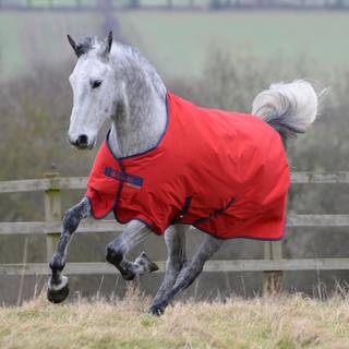 Bucas Freedom, 300 gram - Smoke Grey - 155 CM