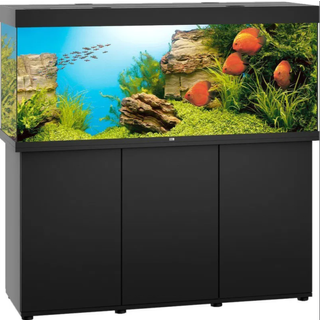 Juwel Aquarium Led Rio 450 Sort 151x51x66cm