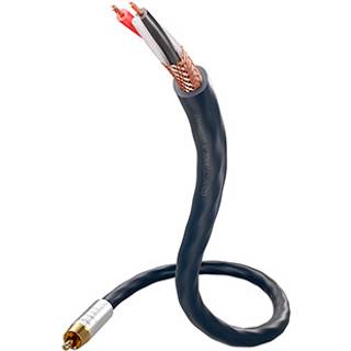 Inakustik S25 Connect 212 Digital Koaxial lydkabel (RCA) | 0,75 meter