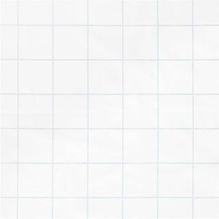 Meterware Baumwoll-Popelin Holografisch Kariert