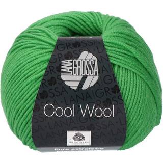 Lana Grossa Cool Wool 504 Æblegrøn Indhold:100% ren ny, ekstrafin merinould Vægt/Længde:50 g = ca. 160 meter Anbefalede pinde: 3.00-3.50 mm Strikkefasthed:10 x 10 cm = 24 m x 34 p Vask:Finvask 30º/ Tørres fladt.