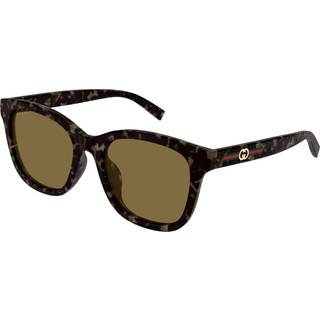 Gucci Kvinde Gucci GG1984SK 003 Solbriller Injiceret Havana Brun Rund