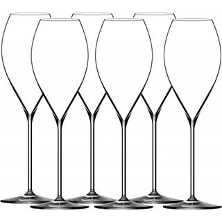 Initial Champagneglas 30 cl, 6-pak - Lehmann