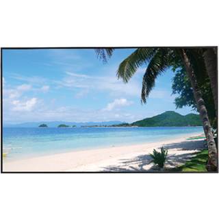 Dahua 43 Zoll Monitor. Display mit 1920x1080px Pixel Auflösung, 8ms Reaktionszeit - schwarz