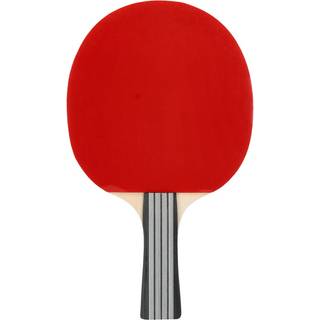 FZ Forza Classic TT 2-star Bordtennisbat