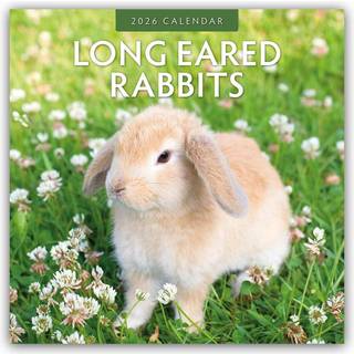 Long Eared Rabbits 2026 Square Wall Calendar (4, 2025) | Red Robin