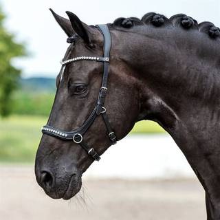 Sidepull Crystal Fairfield® Sort