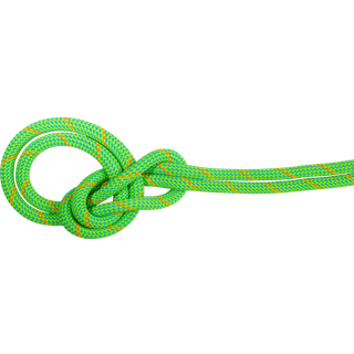 Mammut 9.5 Crag Dry Rope Helreb størrelse 80 m farve grøn