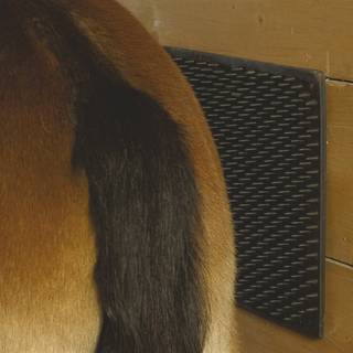 Scratch Patch Fairfield® Sort