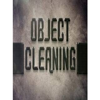 Object "Cleaning" (PC) Steam Key - GLOBAL