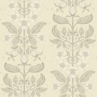 Rosa - Beige