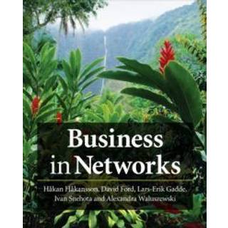 Business in Networks