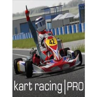 Kart Racing Pro (PC) Steam Account - GLOBAL